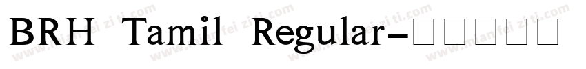 BRH Tamil Regular字体转换
